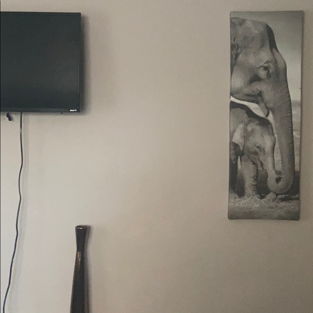 Elephant Portrait